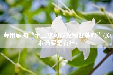 专用辅助“十三水可以控制好牌吗”(原来确实是有挂)