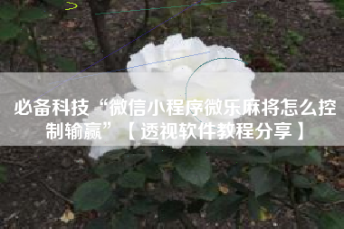 必备科技“微信小程序微乐麻将怎么控制输赢”【透视软件教程分享】