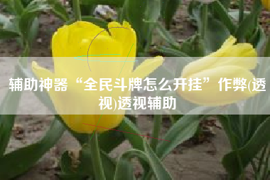 辅助神器“全民斗牌怎么开挂”作弊(透视)透视辅助