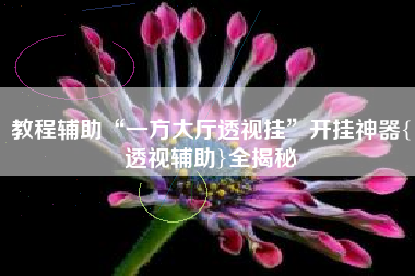 教程辅助“一方大厅透视挂	”开挂神器{透视辅助}全揭秘