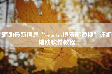 辅助最新信息“wepoker俱乐部透视”详细辅助软件教程
