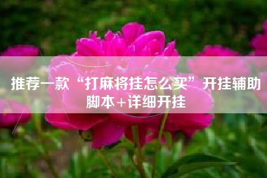 推荐一款“打麻将挂怎么买	”开挂辅助脚本+详细开挂