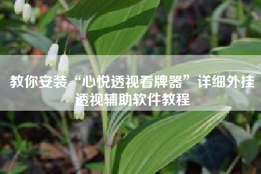 教你安装“心悦透视看牌器”详细外挂透视辅助软件教程