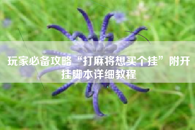 玩家必备攻略“打麻将想买个挂”附开挂脚本详细教程