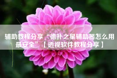 辅助教程分享“德扑之星辅助器怎么用最安全”【透视软件教程分享】