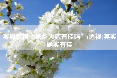 实操教程“家乡大贰有挂吗”(透视)其实确实有挂