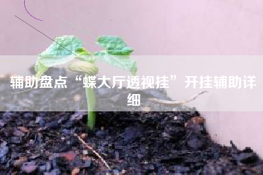 辅助盘点“蝶大厅透视挂”开挂辅助详细