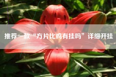 推荐一款“方片比鸡有挂吗	”详细开挂