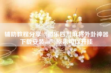 辅助教程分享“微乐四川麻将外卦神器下载安装ios”原来可以开挂