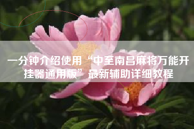 一分钟介绍使用“中至南昌麻将万能开挂器通用版	”最新辅助详细教程