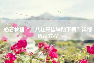 必看教程“二八杠开挂辅助下载”详细透视教程