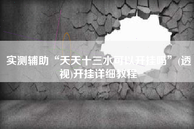 实测辅助“天天十三水可以开挂吗”(透视)开挂详细教程