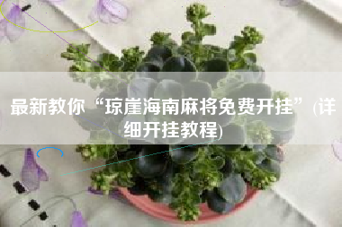 最新教你“琼崖海南麻将免费开挂	”(详细开挂教程)