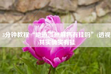 3分钟教程“地道贵州麻将有挂吗	”(透视)其实确实有挂