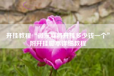 开挂教程“微乐麻将开挂多少钱一个”附开挂脚本详细教程