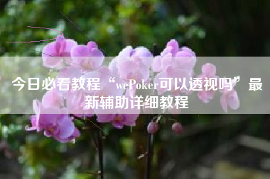 今日必看教程“wePoker可以透视吗	”最新辅助详细教程