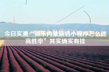 今日实测“微乐内蒙麻将小程序怎么提高胜率”其实确实有挂