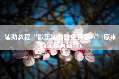 辅助教程“微乐辅助器免费版30	”(原来确实是有插件)