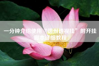 一分钟介绍使用“德州透视挂	”附开挂脚本详细教程