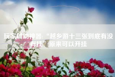 玩家辅助神器:“越乡游十三张到底有没有挂”原来可以开挂