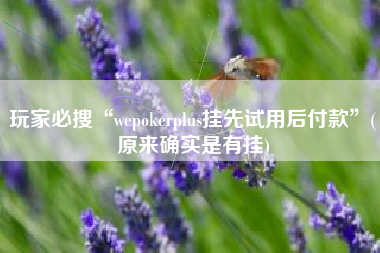 玩家必搜“wepokerplus挂先试用后付款”(原来确实是有挂)