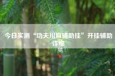 今日实测“功夫川麻辅助挂”开挂辅助详细