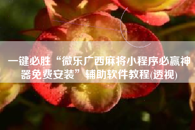 一键必胜“微乐广西麻将小程序必赢神器免费安装”辅助软件教程(透视)