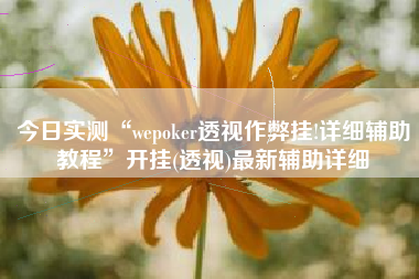今日实测“wepoker透视作弊挂!详细辅助教程	”开挂(透视)最新辅助详细