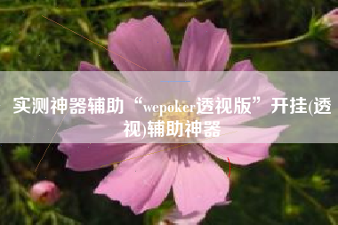 实测神器辅助“wepoker透视版	”开挂(透视)辅助神器