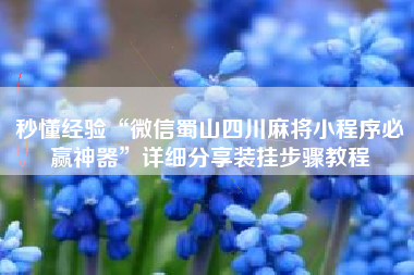 秒懂经验“微信蜀山四川麻将小程序必赢神器”详细分享装挂步骤教程