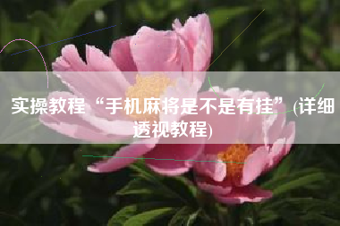 实操教程“手机麻将是不是有挂”(详细透视教程)