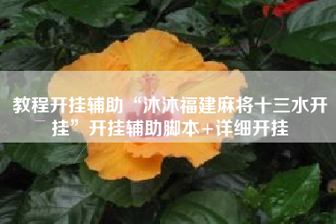 教程开挂辅助“沐沐福建麻将十三水开挂	”开挂辅助脚本+详细开挂