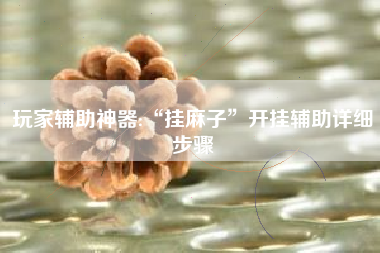 玩家辅助神器:“挂麻子”开挂辅助详细步骤