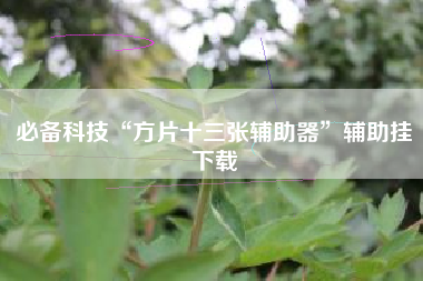 必备科技“方片十三张辅助器	”辅助挂下载