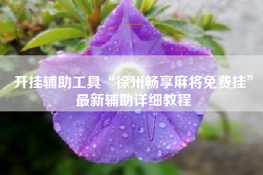 开挂辅助工具“徐州畅享麻将免费挂	”最新辅助详细教程