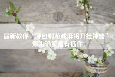 最新教你“呼包鄂游戏麻将开挂神器”(原来确实是有插件)