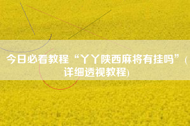 今日必看教程“丫丫陕西麻将有挂吗”(详细透视教程)