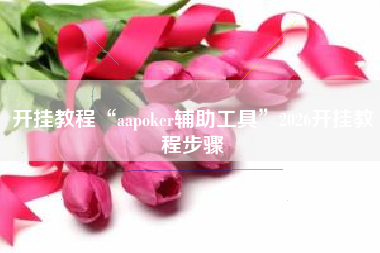 开挂教程“aapoker辅助工具”2026开挂教程步骤