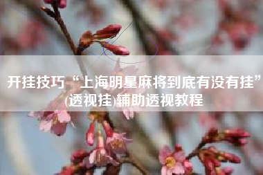 开挂技巧“上海明星麻将到底有没有挂”(透视挂)辅助透视教程