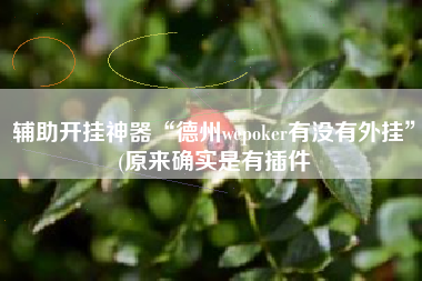 辅助开挂神器“德州wepoker有没有外挂”(原来确实是有插件