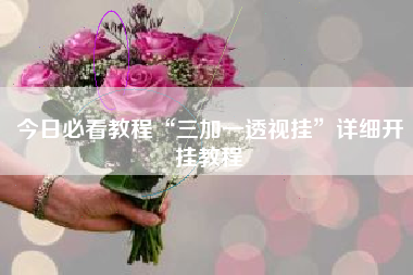 今日必看教程“三加一透视挂”详细开挂教程