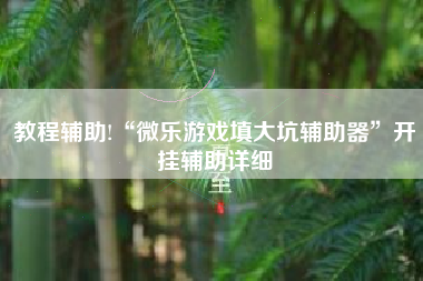 教程辅助!“微乐游戏填大坑辅助器”开挂辅助详细