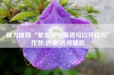 强力推荐“聚友贵州麻将可以开挂吗”作弊(透视)透视辅助