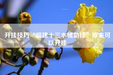 开挂技巧“福建十三水辅助挂”原来可以开挂