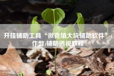 开挂辅助工具“微竞填大坑辅助软件”(作弊)辅助透视教程