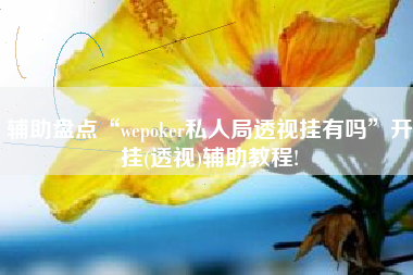 辅助盘点“wepoker私人局透视挂有吗”开挂(透视)辅助教程!