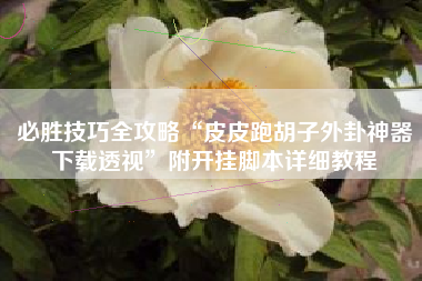 必胜技巧全攻略“皮皮跑胡子外卦神器下载透视	”附开挂脚本详细教程