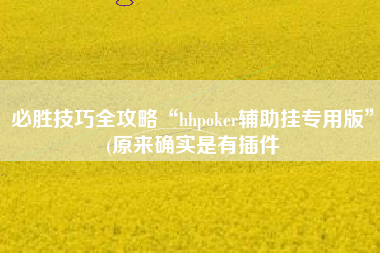 必胜技巧全攻略“hhpoker辅助挂专用版”(原来确实是有插件