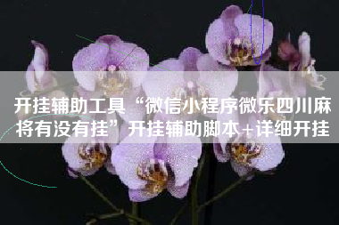 开挂辅助工具“微信小程序微乐四川麻将有没有挂”开挂辅助脚本+详细开挂