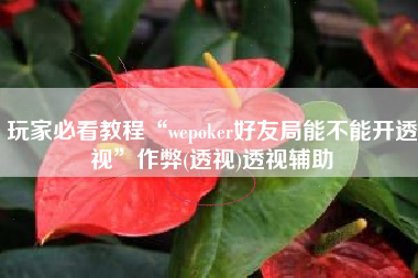 玩家必看教程“wepoker好友局能不能开透视”作弊(透视)透视辅助
